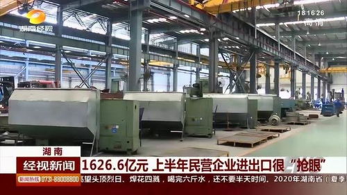 民營企業(yè)業(yè)績搶眼 上半年進(jìn)出口總額突破1626.6億元，絲網(wǎng)制品表現(xiàn)突出