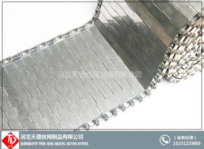 不銹鋼傳送帶與絲網(wǎng)制品 茄盒油炸輸送機(jī)及進(jìn)出口業(yè)務(wù)全解析