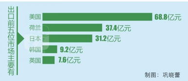 我省文化貿易繁榮發展 絲網制品領銜，與全球180多國共織文化交流網絡