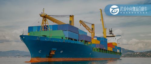 連續五年增長，XX港口吞吐量增長10% 絲網制品及進出口業務成關鍵驅動力